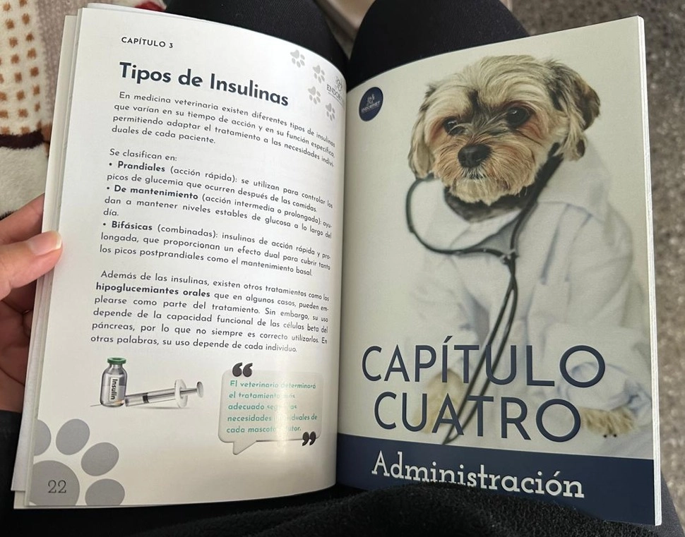 Gato recibiendo cariño, cuidado de mascotas con diabetes